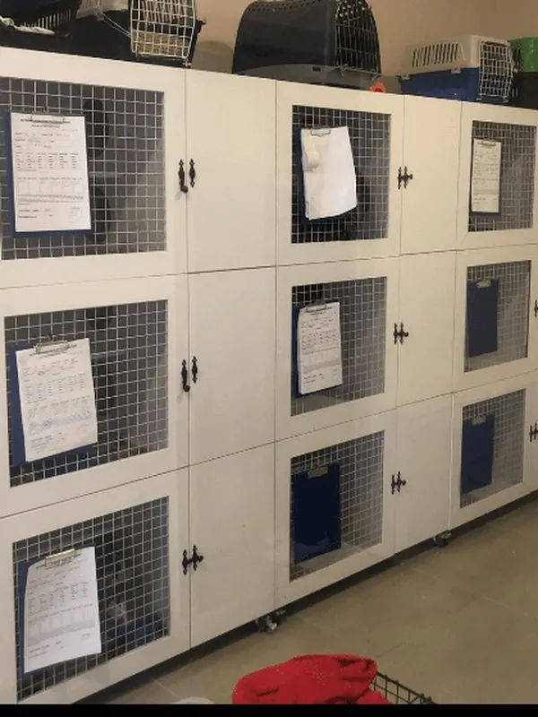 Cage doors in a veterinary clinic, each with a paper monitoring sheet on a clipboard